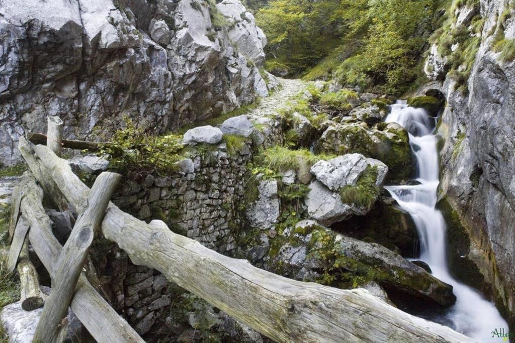 Los Molinos - Atico En Montana De Asturias Felechosa Dış mekan fotoğraf