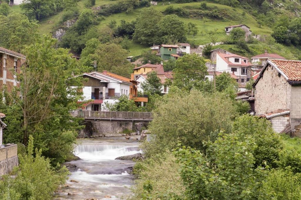 Los Molinos - Atico En Montana De Asturias Felechosa Dış mekan fotoğraf