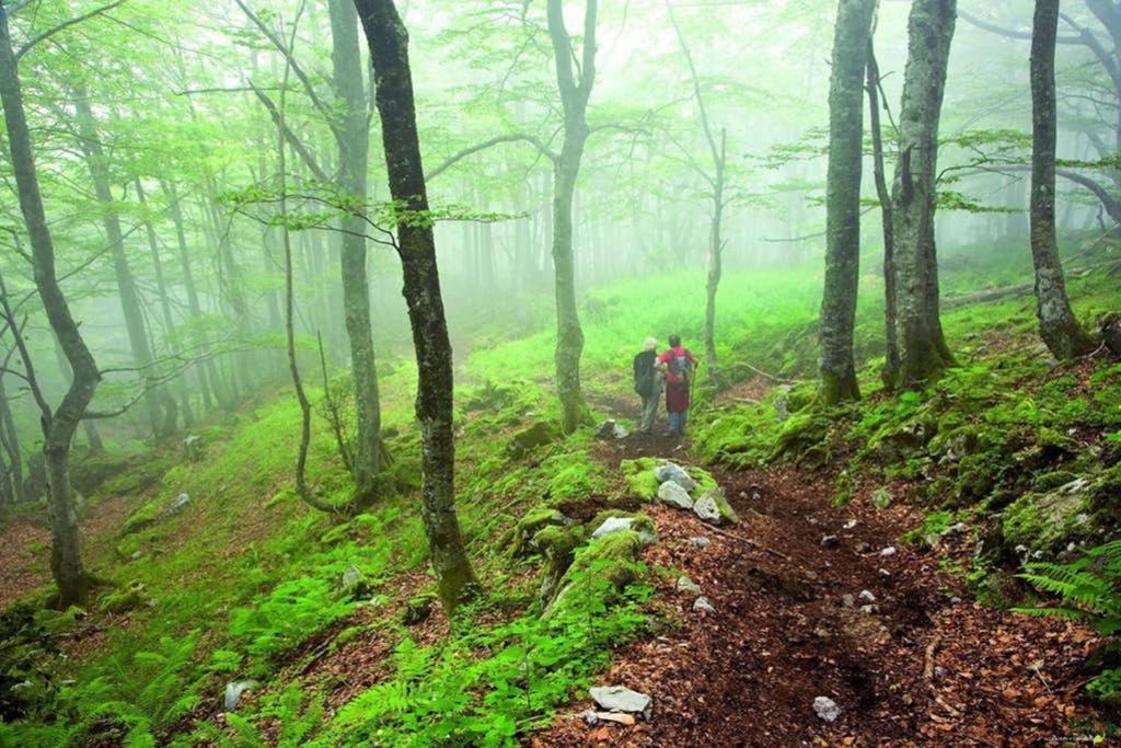 Los Molinos - Atico En Montana De Asturias Felechosa Dış mekan fotoğraf
